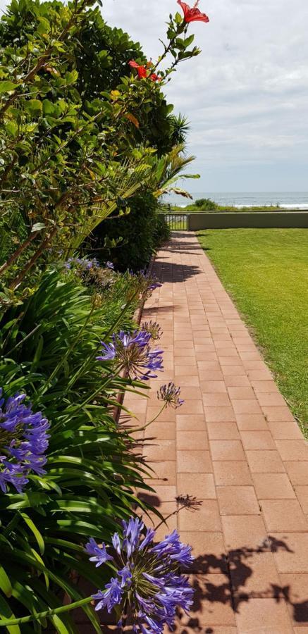 Beachfront Bliss Ohope Exterior foto